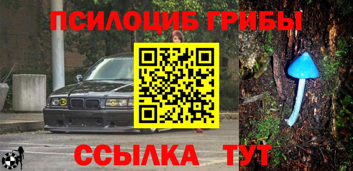 Псилоцибиновые грибы мухоморы  Псилоцибиновые грибы мицелий  Вход с VPN  Сердобск 